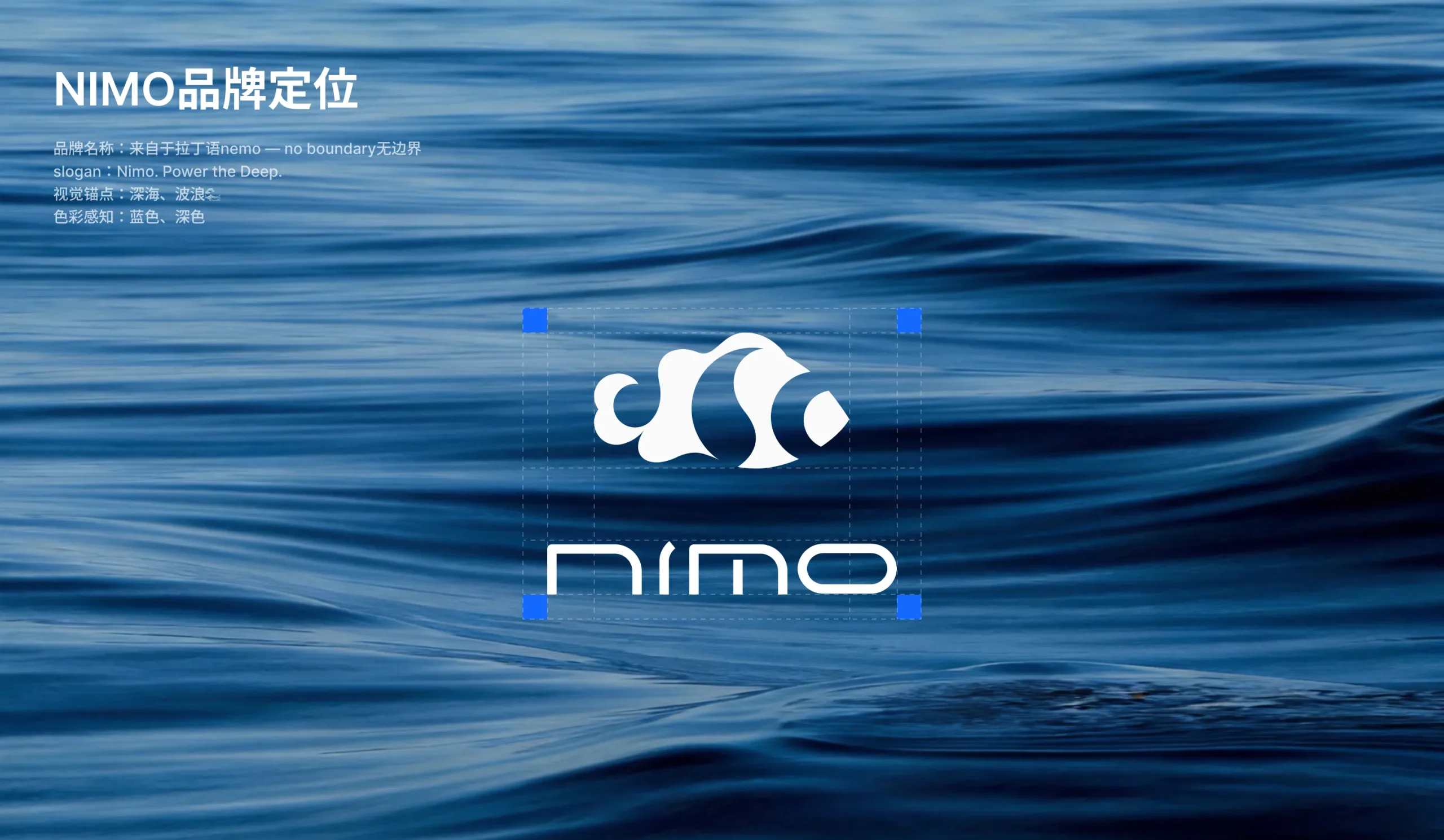 Nimo website design5